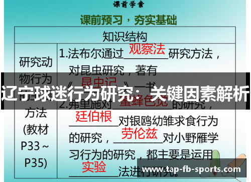 辽宁球迷行为研究：关键因素解析