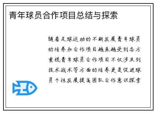 青年球员合作项目总结与探索